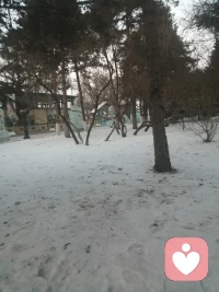 廣西的速凍季節又來了，昨晚上居然下降到16度了，秋天還沒有過，冬天就先來了配圖