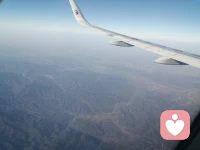 逆風的方向，更適合飛翔。配圖