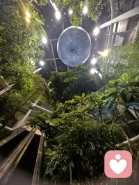 情深不壽，慧極必傷。古人早把道理刻在了三生石上。你要習慣一些人的溫度只夠暖你一程，而不是一生。也要相信會有一些人，穿過茫茫人海與你同頻，不是因為偶然，是因為你們走在同樣的劇本曲線里，注定要在某一刻共振。
有人靠近你，不是因為你拼命揮手，而是因為你本身就是光；有人離開你，不是因為你不夠好，而是他們的路程只到這里。緣起時傾誠相待，緣盡時坦然目送，不拖不欠，才是對彼此曾經交過心的最好敬意。
先愛己，再愛人，不問是否被愛，只問心中是否有愛。當你放下對外在愛的渴求，便會發現，真正的自由，從不再期待被愛開始。配圖