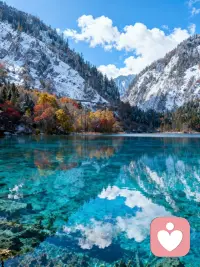 我可以等到吗？