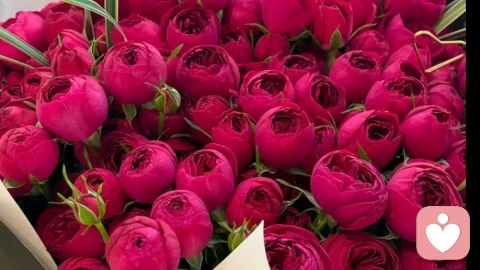 人生下半场，为自己重养一遍