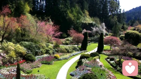 男人最硬气的不是钱,而是输得起