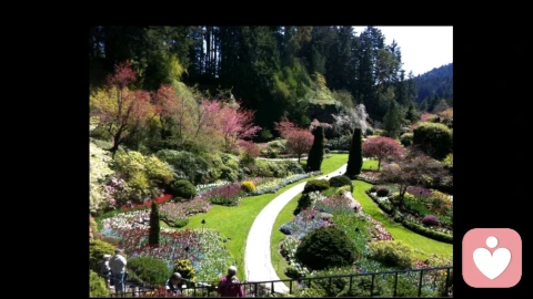 两性关系:不纠结,不纠缠,是最后的温柔。