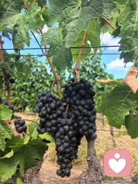 对人好，是选择；被人懂，是幸运。配图