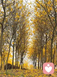 穿过了熙攘的人海，想找个人把你取代，复制你曾给过我的.....配图