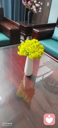 你不怀疑，好一面有可能是装的，但坏的一面一定是真的。太真实了。配图