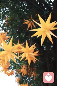 你一定要相信：人生真的会突然变好的。你要好好吃饭、睡觉、收拾房间，研究自己喜欢的事情，高高兴兴地把生命力养起来，让自己浑身是劲，气血十足，当你拥有明媚张扬向上的生命力的时候，你就会发现原来生活的每一个瞬间，都有无数众生在托举你向上走。