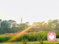 男女之间，一见钟情只不过是见色起意，日久生情也许是权衡利弊。爱情这东西，始于颜值，陷于才华，忠于人品，迷于肉体。最终，折于物质，败于现实。