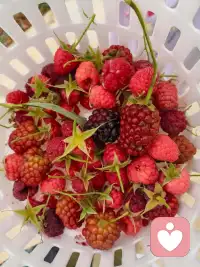 把脑子放在发财上
把情感放在变美上
把情绪放在吃喝玩乐上
你应该神采奕奕，风情万种
你应该盆满钵满，绚丽绽放