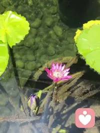 今年520的广告语是，这世上有很多东西，都可以重来。错过一辆车可以等；错过一顿饭，可以改天再聚。可唯独错过一个真心的人，就是一辈子的遗憾。不要总把想念藏在心里，不要总把心里话拖到明天。世事无常，没有那么多来日方长，好好珍惜当下的缘分，别让遗憾，留在往后余生。520愿我们都不负遇见，不负真心。配图