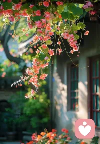 是淡然啦。。。。。还是成长了。。。。