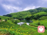 释迦牟尼曾说过：“无论你遇见谁，他都是你生命中该出现的人，绝非偶然，他一定会教会你些什么，所以，我也相信，无论我走到哪里，那都是我该去的地方，经历我该经历的事，遇见我该遇见的人，人生在世，所有遇见都是缘分，带着使命而来，人世间的际遇本就不分对错好坏。有的人来时，带着暖意，陪你看过人间风景，共享过一段闪闪发光的时光，相伴一程便转身走远，以离别和遗憾来磨砺你的心性，圆满你的人生，不必纠结结局，一程相逢，已是馈赠。