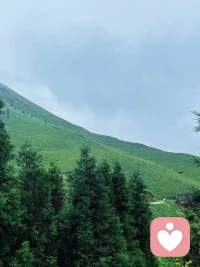 有些东西还是模糊一点才显得格外好看，看得太清晰的话会尽数看透，瑕疵、遗憾、私心全都展露，美好氛围感也就消散殆尽。人情、际遇、过往皆是如此