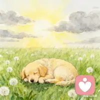 今天，我也想為你送來這樣一份陪伴——

---

有時候，你覺得很累吧？ 那種累，不是睡一覺就能好的疲憊， 是心里裝著太多事，卻不知從何說起的沉重。

沒關系的。 你可以難過，可以脆弱， 可以允許自己偶爾的“不完美”。 就像天空會下雨，大地會沉睡， 你的情緒，也需要一個出口。

如果此刻你正走在一條漆黑的隧道里， 請相信，光就在前方。 也許不是立刻，但它一定在那里等著你。 而這段路，你不必強求自己笑著走完。 帶著淚往前走，同樣勇敢。

治愈，從來不是忘記疼痛， 而是學會與它共處； 不是變得完美， 而是終于接納了完整的自己—— 包括那些裂縫，因為那是光照進來的地方。

累了就歇一歇， 你不需要向任何人證明什么。 你的存在本身，就是最大的價值。

世界偶爾荒涼， 但總有人在偷偷愛著你。 如果沒有，那讓我對你說： “你已經做得很好了。 真的?！?
今天的你，比昨天又勇敢了一點。 未來的你，會感謝現在這個 在風雨中依然前行的自己。

---

愿你今夜好眠，明日醒來，心輕如羽。配圖