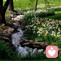 通过大自然进行心理疗愈，核心是通过感官接触自然环境，激活身体的放松反应，缓解压力与负面情绪，主要可通过以下3种方式实现：

 1. 沉浸式感官体验：主动调动视觉、听觉、嗅觉等感官与自然连接。比如注视远处的树木或天空，倾听鸟鸣、风声或水流声，呼吸带有草木、泥土气息的空气，触摸树叶纹理或湿润的土壤。这种“感官锚定”能快速将注意力从焦虑思绪拉回当下，平复情绪。

 2. 低强度自然活动：参与无需高强度消耗的自然相关活动，让身体与自然节奏同步。

 ◦ 散步：在公园、林间或河边缓慢行走，不设定速度或距离目标，专注于脚步与地面的接触感。

 ◦ 静坐/躺卧：在草地、树荫下静坐或躺卧，感受阳光、微风对皮肤的触碰，观察周围自然景物的细微变化（如云朵移动、昆虫活动）。

 ◦ 轻度劳作：尝试种植花草、浇水、整理盆栽等简单农活，通过重复、低压力的动作获得“心流”体验，缓解精神内耗。

 3. 建立长期自然联结：将自然融入日常，形成稳定的心理支持。比如每天固定10-15分钟在阳台观察植物生长，每周安排一次郊外短途出行，或在通勤路上刻意关注路边的树木、花朵，让自然成为日常情绪的“缓冲带”。