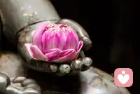 看透世态炎凉,依然初心不改;历经人心险恶,依然不让自己的心蒙尘。
知世故而不世故,历圆滑而弥天真,这才是一个人最高级的活法。共勉!