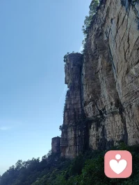 傾聽是一種藝術，通過傾聽，我們使用共情穿越我們之間的距離……真誠的傾聽意味著懸置記憶、欲望和評價，并且至少是在一小段時間內，是為另一個人而存在。
                                                                                               -----Nichols配圖