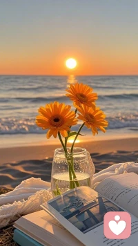 冬日暖阳斜洒，驱散寒意，温柔笼罩大地，带来慵懒暖意与静谧生机。