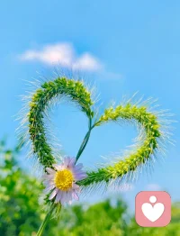 暖阳裹着旧时光漫过肩头，老歌在耳畔缓缓流淌，旋律里藏着青涩回忆，风都带着温柔的慵懒感。