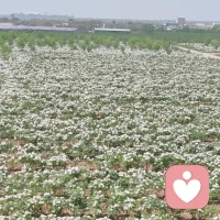 一路走來，萬水千山只為途中與你相遇。山海皆可平，只為那一刻與你相見。我們都要好好的生活。我想起來一首老歌大約在冬季配圖