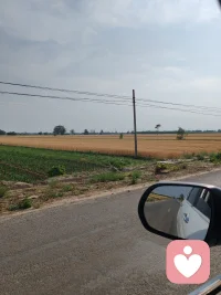 一路走來，萬水千山只為途中與你相遇。山海皆可平，只為那一刻與你相見。我們都要好好的生活。我想起來一首老歌大約在冬季配圖