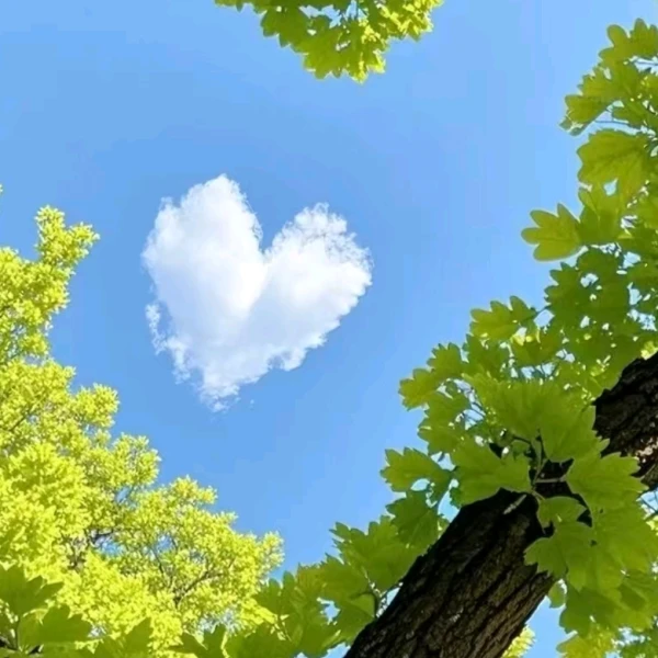 润心❤️情感陪伴