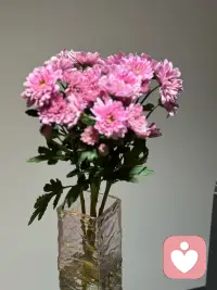 ????

心態就跟屋子一樣,需要定期打掃一下,該洗的洗,該丟的丟,然后再將喜歡的生活裝進去,日子就會明亮起來。