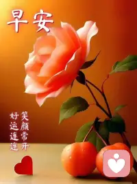 內耗的本質，
是用別人的邏輯懲罰自己。
別人的評價、未發生的事、
過去的遺憾——
這些都不該占據你當下的能量。
把注意力收回到“具體的事”上：
讀一本書，完成一項計劃，學習一門技能。
行動，是治愈焦慮的良藥。