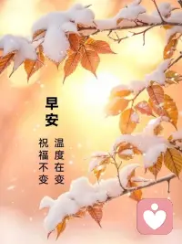 你需要的是解决问题的能力，而不是在糟糕的关系里哀伤