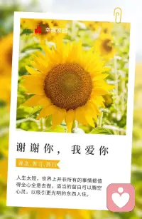 成年人的世界，没有容易两字。学会倾诉，学会理解，才是支撑我们走过风雨的力量。