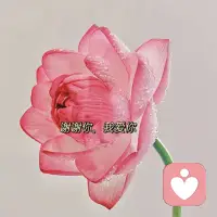 #幸福家园
通过疗愈潜意识中的创伤与限制，我们能够释放出内心深处的潜能，让自己的生命焕发出新的活力。
——善念·善言·善行配图