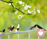 新春伊始，福气满怀