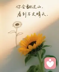 2026.02.24对学生家长来访的复盘

一、她的核心需求点：孩子因为不想写作业，“先天”体质差经常拉肚子而休学一年多，她想跟孩子做“课题分离”。
此处疑点有二：
疑点一：仅仅因为不想写作业就休学？
疑点二：经常拉肚子说明肠胃不好，肠胃是情绪器官，所以拉肚子这个事不一定是先天问题，有可能是父母打骂导致。

二、我给她的反馈，按先后顺序分四步：
1、正确认识课题分离，先提升认知。具体建议：去千聊app认真听玉米老师的课，里面有很多关于孩子躺平的案例
2、提升自己的力量感。具体建议，坚持做玉米家园的实修功课+晒太阳（她气血不足）
3、用“先跟后带”的办法跟儿子统一战线，让母子关系从指责打骂的敌对关系向“自己人”转变，建议她读点儿童心理学，了解孩子才能引领孩子
4、跟老师沟通，请教一下关于孩子复学应做的准备工作（此处她需要释放权威恐惧）配图