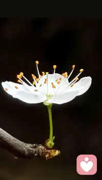 人生起起伏伏很正常，
混乱也好，低落也罢，都只是暂时的。
 
别去改变别人，
别去期待别人，
我们能掌控的，从来只有自己。
 
当你开始改变，
你会发现，家人也在跟着变，
世界也会跟着温柔。
 
允许自己休息，
允许自己成长，
一切都是最好的安排。