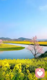 世界上没有真正快乐的人
只有想得开的人