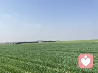 #幸福家园
当你真正懂得爱自己，爱才会像活水一样，自然流向他人。
——善念·善言·善行配图