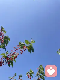 #幸福家园
我们做不到，让所有人都满意；但却能做到，问心无愧活自己。

        ～善念·善言·善行