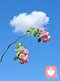 🌿 伶融姐姐的「情绪自救手册」
～写给每一个在深夜里独自消化情绪的你

亲爱的姐妹：
当心里那团乱麻理不清时，别急着去解决大问题。
试着先做这几件极小、极具体的小事，把自己从情绪的漩涡里“捞”出来。
🍵 第一式：物理“断电法”（源自中医智慧）
适用场景： 心慌、胸闷、想发火、控制不住吼孩子/老公。
1. 停止说话： 立刻闭嘴，深呼吸三次。
2. 按压穴位： 用力按揉脚背上的太冲穴（大脚趾和二脚趾之间往上推，感到酸胀处）。
    * 伶融心语： 这是在给身体“放气”，气顺了，心就宽了。
3. 喝温水： 哪怕不想喝，也要强迫自己喝几口温热的水。
🧘 第二式：情绪“旁观法”（源自心理学）
适用场景： 陷入回忆无法自拔、焦虑未来、钻牛角尖。
1. 命名情绪： 在心里对自己说：“我现在很愤怒”或“我现在很悲伤”。
2. 剥离自我： 想象你是一个摄像头，正在拍摄“那个正在难过的女人”。
    * 伶融心语： 当你开始观察情绪，你就不再是情绪本身，痛苦感会瞬间降低。
📝 第三式：书写“排毒法”（伶融姐姐私藏）
适用场景： 心里堵得慌、无人诉说、觉得全世界都不理解你。
1. 准备纸笔： 不要用手机打字，手写更有触感。
2. 尽情宣泄： 写下所有的不满、委屈、咒骂。
3. 彻底销毁： 写完后，把纸撕碎、烧掉或扔进垃圾桶。
    * 伶融心语： 写完的那一刻，就是和过去和解的时刻。
☀️ 第四式：感官“着陆法”（快速急救）
适用场景： 突然感到恐慌、心跳加速、不知所措。
1. 寻找色彩： 环顾四周，找出 3样蓝色的东西。
2. 触摸物体： 用手摸摸身边的桌子、墙壁或衣服面料，感受它们的纹理。
3. 聆听声音： 闭上眼，仔细听你能听到的最远处的声音。
    * 伶融心语： 把你从脑海里的风暴，拉回到现实的大地上。
______ 
💌 伶融姐姐的叮嘱
姐妹们，自救不是为了消灭情绪，而是为了不被情绪淹没。
哪怕今天只做到了“喝一杯温水”，也是一种巨大的胜利。
记得，你永远值得被温柔以待。配图