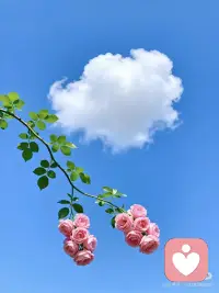 🌿 伶融姐姐的「情绪自救手册」
～写给每一个在深夜里独自消化情绪的你

亲爱的姐妹：
当心里那团乱麻理不清时，别急着去解决大问题。
试着先做这几件极小、极具体的小事，把自己从情绪的漩涡里“捞”出来。
🍵 第一式：物理“断电法”（源自中医智慧）
适用场景： 心慌、胸闷、想发火、控制不住吼孩子/老公。
1. 停止说话： 立刻闭嘴，深呼吸三次。
2. 按压穴位： 用力按揉脚背上的太冲穴（大脚趾和二脚趾之间往上推，感到酸胀处）。
    * 伶融心语： 这是在给身体“放气”，气顺了，心就宽了。
3. 喝温水： 哪怕不想喝，也要强迫自己喝几口温热的水。
🧘 第二式：情绪“旁观法”（源自心理学）
适用场景： 陷入回忆无法自拔、焦虑未来、钻牛角尖。
1. 命名情绪： 在心里对自己说：“我现在很愤怒”或“我现在很悲伤”。
2. 剥离自我： 想象你是一个摄像头，正在拍摄“那个正在难过的女人”。
    * 伶融心语： 当你开始观察情绪，你就不再是情绪本身，痛苦感会瞬间降低。
📝 第三式：书写“排毒法”（伶融姐姐私藏）
适用场景： 心里堵得慌、无人诉说、觉得全世界都不理解你。
1. 准备纸笔： 不要用手机打字，手写更有触感。
2. 尽情宣泄： 写下所有的不满、委屈、咒骂。
3. 彻底销毁： 写完后，把纸撕碎、烧掉或扔进垃圾桶。
    * 伶融心语： 写完的那一刻，就是和过去和解的时刻。
☀️ 第四式：感官“着陆法”（快速急救）
适用场景： 突然感到恐慌、心跳加速、不知所措。
1. 寻找色彩： 环顾四周，找出 3样蓝色的东西。
2. 触摸物体： 用手摸摸身边的桌子、墙壁或衣服面料，感受它们的纹理。
3. 聆听声音： 闭上眼，仔细听你能听到的最远处的声音。
    * 伶融心语： 把你从脑海里的风暴，拉回到现实的大地上。
______ 
💌 伶融姐姐的叮嘱
姐妹们，自救不是为了消灭情绪，而是为了不被情绪淹没。
哪怕今天只做到了“喝一杯温水”，也是一种巨大的胜利。
记得，你永远值得被温柔以待。配图