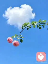🌿 伶融姐姐的「情绪自救手册」
～写给每一个在深夜里独自消化情绪的你

亲爱的姐妹：
当心里那团乱麻理不清时，别急着去解决大问题。
试着先做这几件极小、极具体的小事，把自己从情绪的漩涡里“捞”出来。
🍵 第一式：物理“断电法”（源自中医智慧）
适用场景： 心慌、胸闷、想发火、控制不住吼孩子/老公。
1. 停止说话： 立刻闭嘴，深呼吸三次。
2. 按压穴位： 用力按揉脚背上的太冲穴（大脚趾和二脚趾之间往上推，感到酸胀处）。
    * 伶融心语： 这是在给身体“放气”，气顺了，心就宽了。
3. 喝温水： 哪怕不想喝，也要强迫自己喝几口温热的水。
🧘 第二式：情绪“旁观法”（源自心理学）
适用场景： 陷入回忆无法自拔、焦虑未来、钻牛角尖。
1. 命名情绪： 在心里对自己说：“我现在很愤怒”或“我现在很悲伤”。
2. 剥离自我： 想象你是一个摄像头，正在拍摄“那个正在难过的女人”。
    * 伶融心语： 当你开始观察情绪，你就不再是情绪本身，痛苦感会瞬间降低。
📝 第三式：书写“排毒法”（伶融姐姐私藏）
适用场景： 心里堵得慌、无人诉说、觉得全世界都不理解你。
1. 准备纸笔： 不要用手机打字，手写更有触感。
2. 尽情宣泄： 写下所有的不满、委屈、咒骂。
3. 彻底销毁： 写完后，把纸撕碎、烧掉或扔进垃圾桶。
    * 伶融心语： 写完的那一刻，就是和过去和解的时刻。
☀️ 第四式：感官“着陆法”（快速急救）
适用场景： 突然感到恐慌、心跳加速、不知所措。
1. 寻找色彩： 环顾四周，找出 3样蓝色的东西。
2. 触摸物体： 用手摸摸身边的桌子、墙壁或衣服面料，感受它们的纹理。
3. 聆听声音： 闭上眼，仔细听你能听到的最远处的声音。
    * 伶融心语： 把你从脑海里的风暴，拉回到现实的大地上。
______ 
💌 伶融姐姐的叮嘱
姐妹们，自救不是为了消灭情绪，而是为了不被情绪淹没。
哪怕今天只做到了“喝一杯温水”，也是一种巨大的胜利。
记得，你永远值得被温柔以待。配图