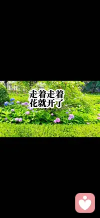 #幸福家园
世间诸多困顿，皆是内心的倒影。沉下心疗愈潜意识，褪去浮躁执念，自会遇见松弛通透的自己。
——善念·善言·善行配图