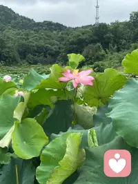 #幸福家园
相信是一种很玄妙的力量，当你真的信了，
全世界都会来帮你圆谎。✨
——善念·善言·善行