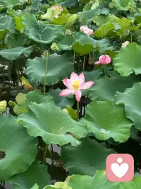#幸福家园
每个清晨，都是宇宙给你的一次温柔重启。今天，只和让你舒服的人事物在一起。
——善念·善言·善行