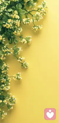 人生苦短，不想計較太多，與其在紛擾中度日如年，不如讓自己在舒適中耗盡余生。配圖