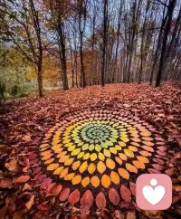 我們更多是從無序混亂，到有秩序，再到無序混亂的無限??循環(huán)里，接納我們是自己，別人是別人，會輕松很多！