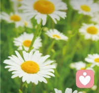 情绪就像心魔，你不控制它，它便吞噬你；弱者易怒如虎，强者平静如水。配图