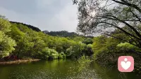 只有频率相同的人，才能理解你的山河万里