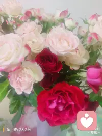 无论什么时候都要具有自己能把自己养得好的能力，其次才是去爱，去体验为人妻，为人母的快乐或悲伤。