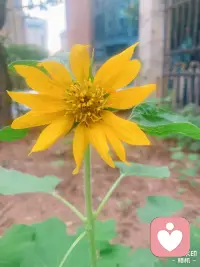 这个世界无比简单，任何人都可以随时获得幸福