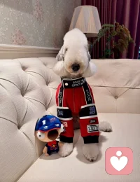 生活的美好，藏在每一次全力以赴里，别因暂时的迷茫停下脚步，迎着风、追着光，你想要的终会如期而至。